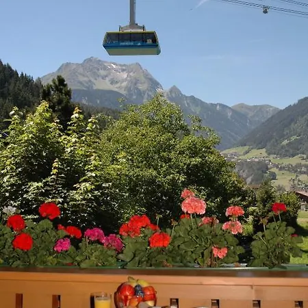 Apartment Johannes Mayrhofen