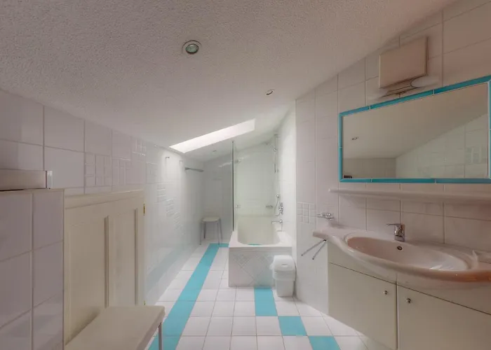 Johannes مايرهوفن